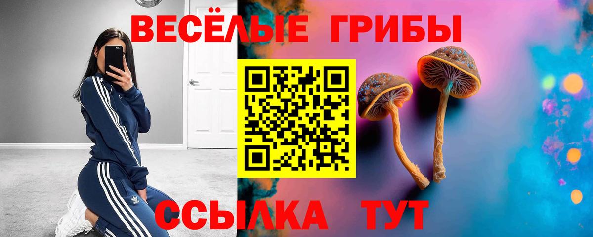 Галлюциногенные грибы мицелий Солнечногорск